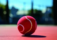 Format_PAYSAGE_balle_tennis.webp