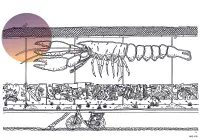 Paysage - Street life.jpg