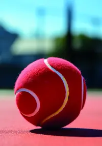 Format_PORTRAIT_balle_tennis.webp