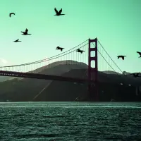 Format_SQUARE_sanfransisco2.webp