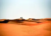 Format_PAYSAGE_desert_dromadaire.webp