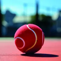 Format_SQUARE_balle_tennis.webp