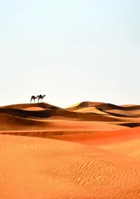 Format_PORTRAIT_desert_dromadaire.webp