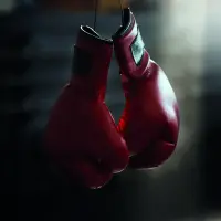 Format_SQUARE_gants_boxe.webp